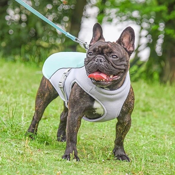 Peitoral Térmico Abraço Fraterno Para Cães - MaxPet