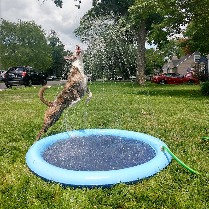 Piscina Inflável Alegria Para Pets - MaxPet