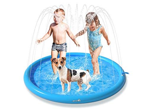 Piscina Inflável Alegria Para Pets - MaxPet